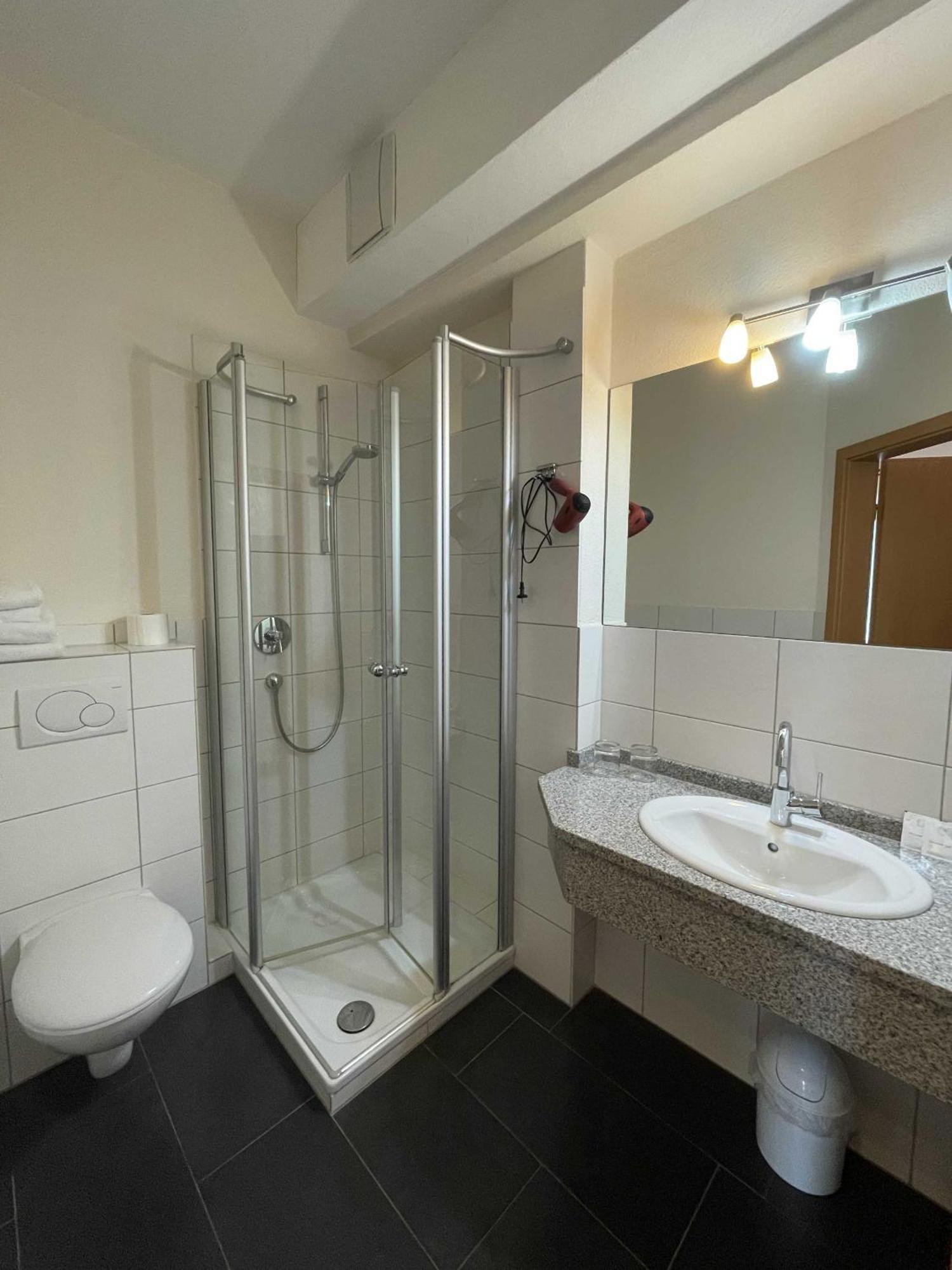 Hotel Zur Mosel Minheim Dış mekan fotoğraf