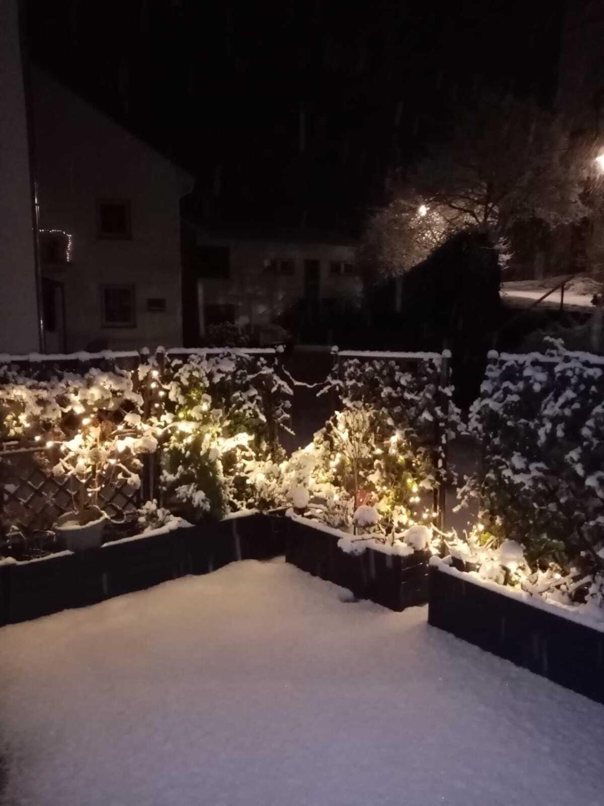 Hotel Zur Mosel Minheim Dış mekan fotoğraf