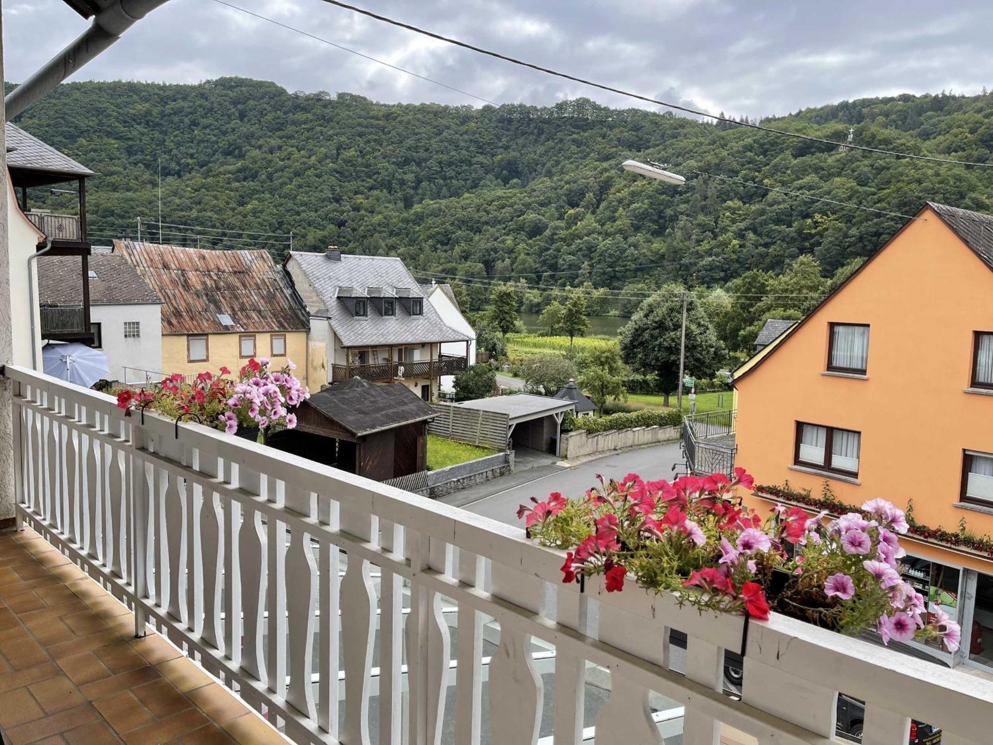 Hotel Zur Mosel Minheim Dış mekan fotoğraf
